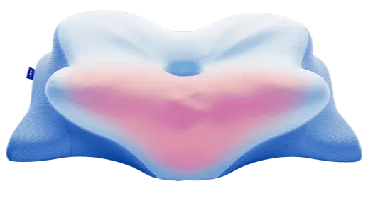 Derila Ergo Pillows-6bottles